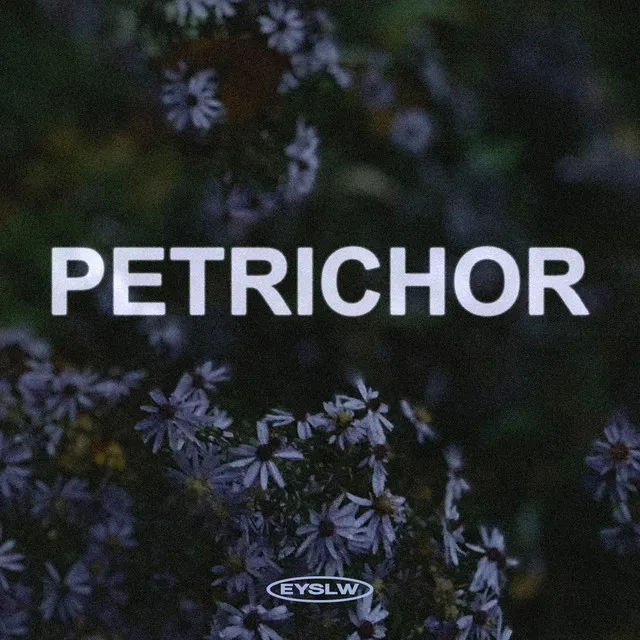 Petrichor