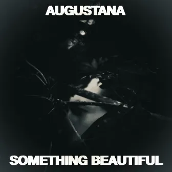 Something Beautiful by Augustana