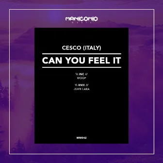 Can You Feel It by Cesco (Italy)