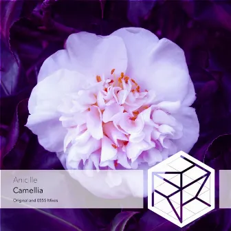 Camellia (0555 Extended Remix) by 0555