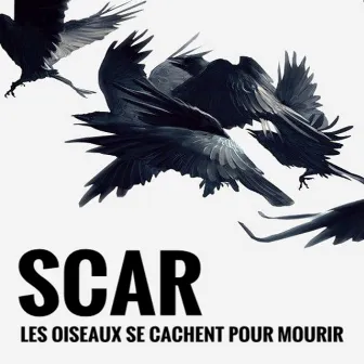 Les oiseaux se cachent pour mourrir by Scar