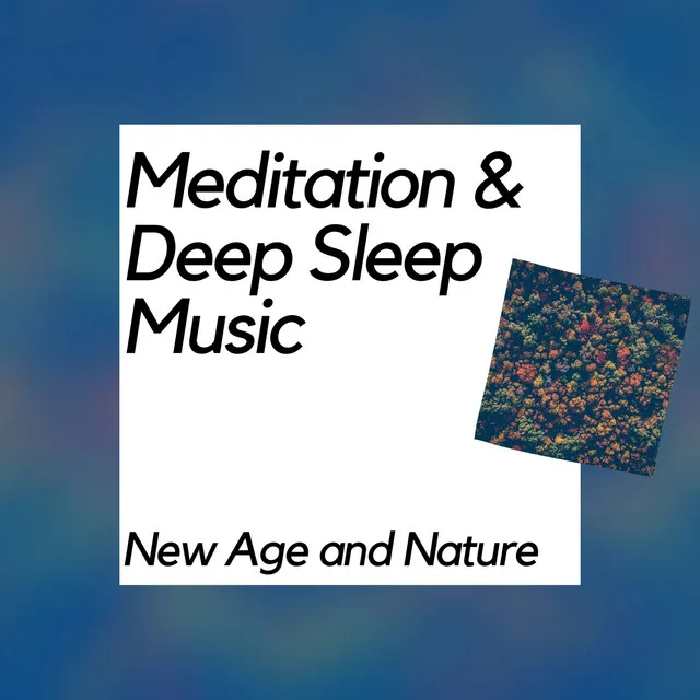 Meditation & Deep Sleep Music (New Age and Nature)