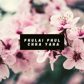 Phulai Phul Chha Yaha by Sanup Paudel