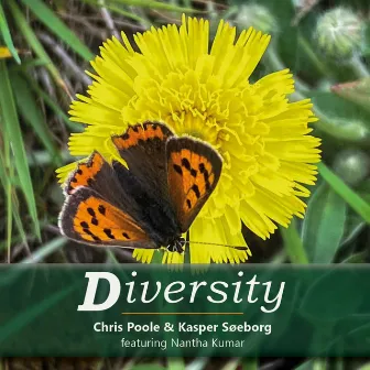 Diversity by Chris Poole & Kasper Søeborg Duo