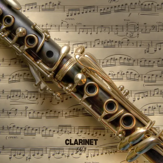 Clarinet Quintet in B Minor, Op. 115: I. Allegro