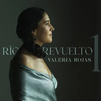 Río Revuelto, Vol. 1 by Valeria Rojas