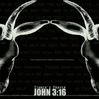 Sinner's Prayer by John 3:16