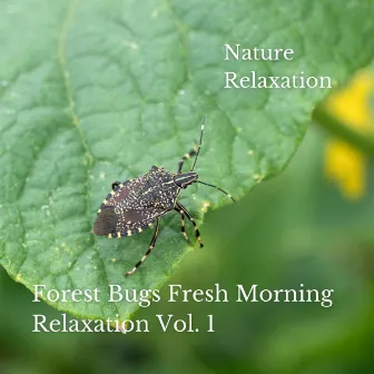 Nature Relaxation: Forest Bugs Fresh Morning Relaxation Vol. 1 by Nature Hiker