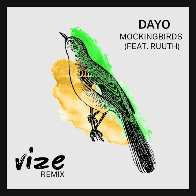 Mockingbirds - VIZE Remix