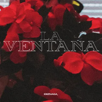 La Ventana by Young Cop