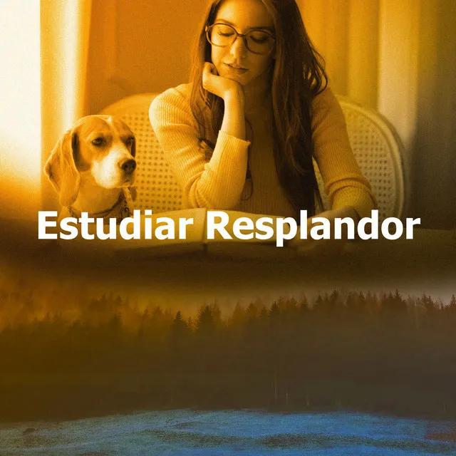 Estudiar Resplandor