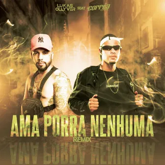 AMA PORRA NENHUMA VS AMAR AMEI by DJ Corrêa