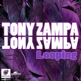 Looping (Disco Purple Radio Edit) by Tony Zampa