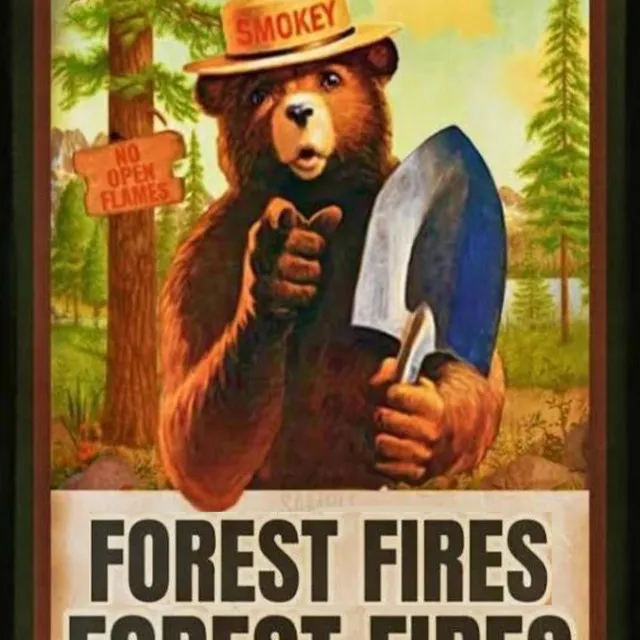 Forest fires