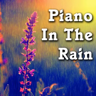 Piano in the Rain by Master Wu