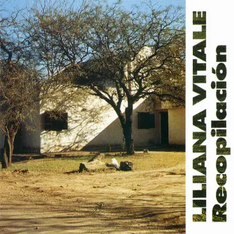 Recopilación (Remasterizado) by Liliana Vitale