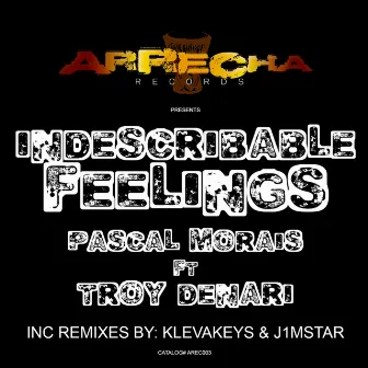 Indescribable Feelings by Pascal Morais