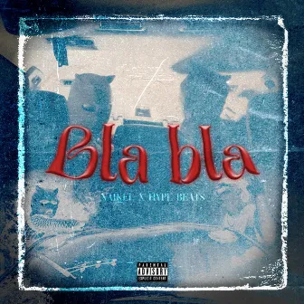 Bla Bla by Naikel