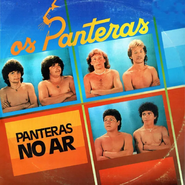 Panteras no Ar