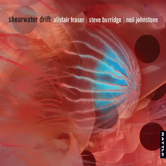 Shearwater Drift by Neil Johnstone