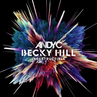 Indestructible (Day To Night Mix) by Andy C