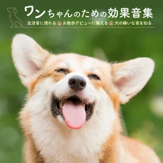 ワンちゃんのための効果音集～生活音に慣れる・お散歩デビューに備える・犬の嫌いな音を知る～ by 日本サウンド・エフェクト研究会