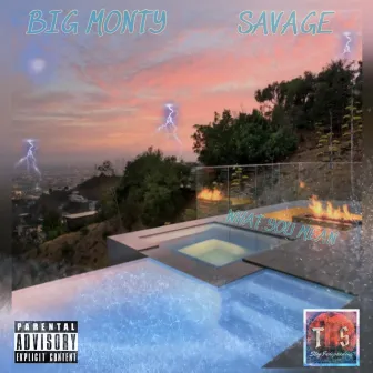 What You Mean by Big Monty