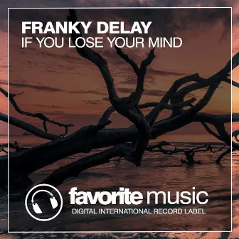 If You Lose Your Mind by Franky Delay