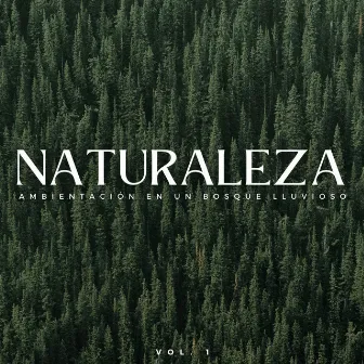 Naturaleza: Ambientación En Un Bosque Lluvioso Vol. 1 by La fuga del bosque