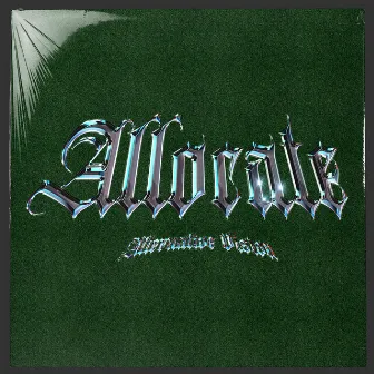 Allocate by Alternative Vision