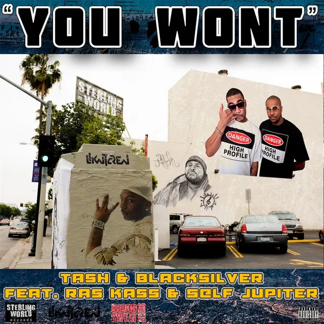 You Wont (feat. Ras Kass & Self Jupiter)