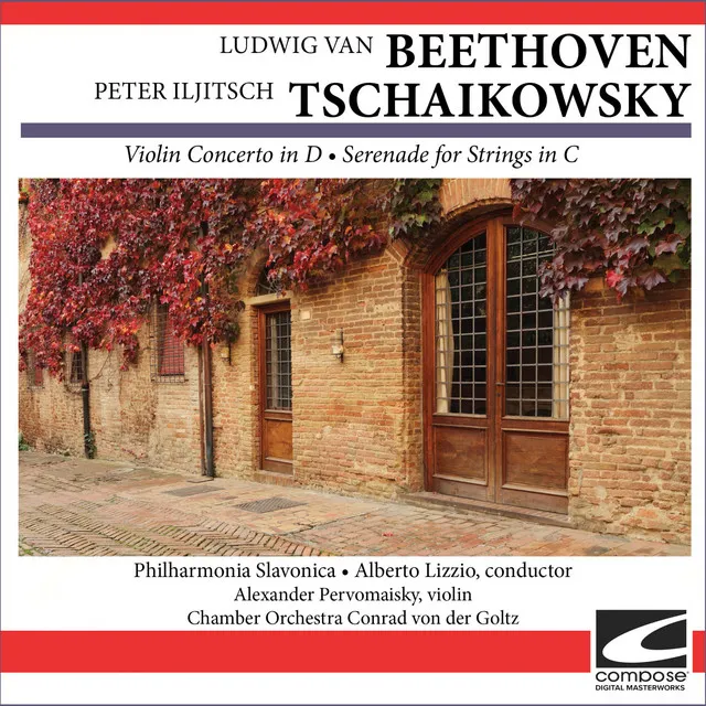 Tchaikovsky Serenade For Strings in C major, Op. 48 - Waltz-Moderato