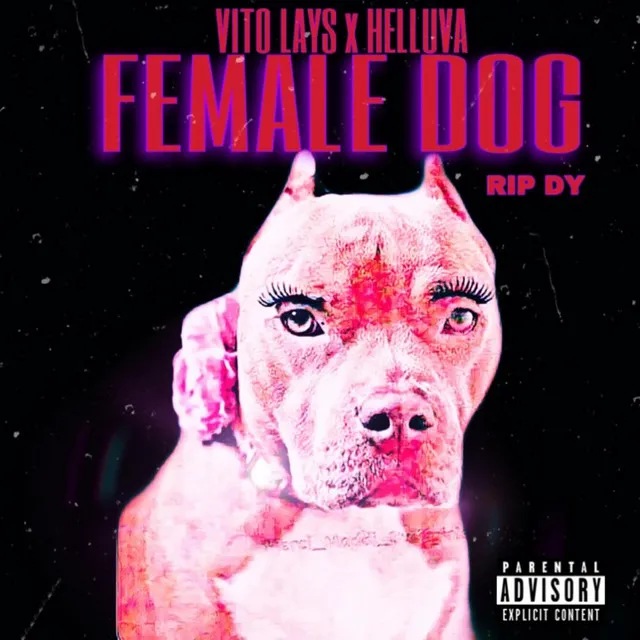 Female dog