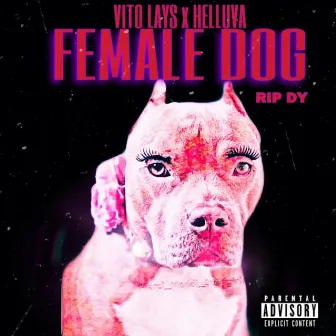 Female dog by Vito Lays