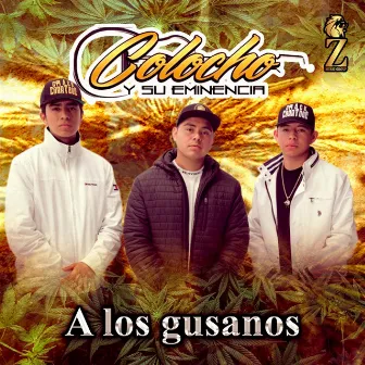 A los Gusanos by Colocho y Su Eminencia