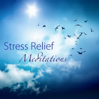 Stress Relief Meditations - Antistress and Calming Music for Busy People, Relaxation and Peace by Unknown Artist