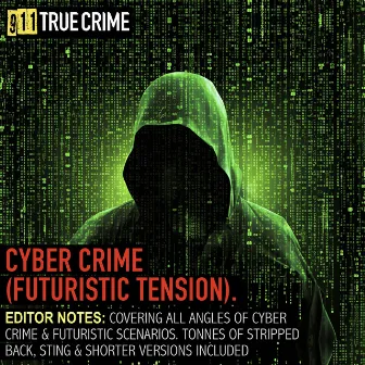 Cyber Crime (Futuristic Tension) by 911 True Crime