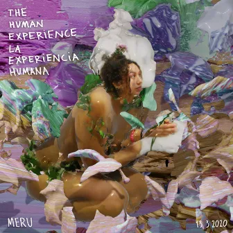 The Human Experience by MERU