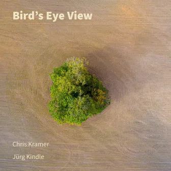 Bird's Eye View by Chris Kramer