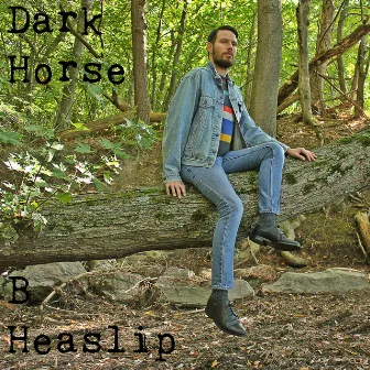 Dark Horse by B Heaslip