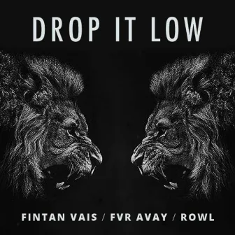 Drop It Low by Fintan Vais