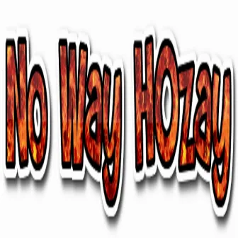 No Way Hozay by DG X2