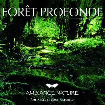 Ambiance Nature Foret Profonde by Unknown Artist