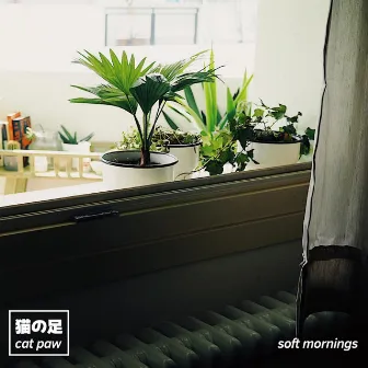 Soft Mornings by Cat Paw