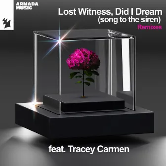 Did I Dream (Song To The Siren) [Remixes] by Lost Witness