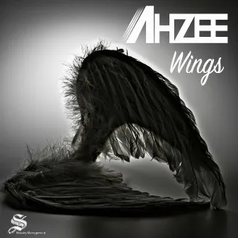 Wings by Ahzee