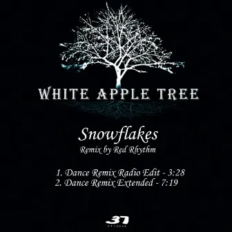 Snowflakes (Remix) by White Apple Tree