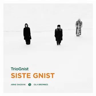 Siste Gnist by TrioGnist