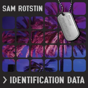 Identification Data by Sam Rotstin