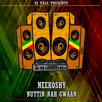 Nuttin Nah Gwaan by DJ Vale